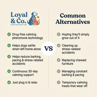 Loyal & Co. — Calming Diffuser for Happy, Settled Dogs